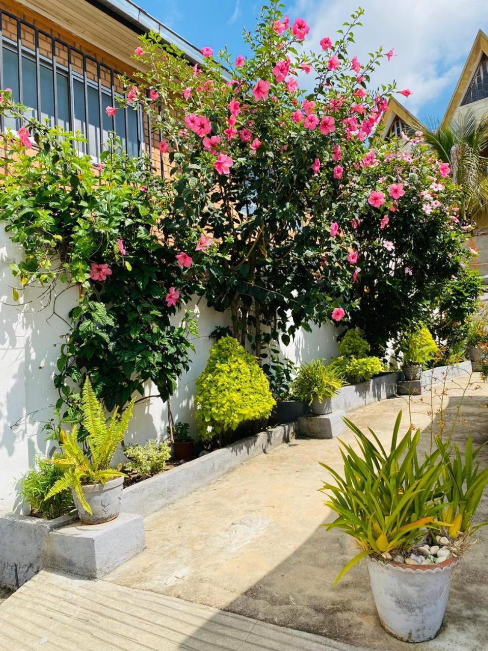 Chez Jeanne Chambre D'Hote Antananarivo Eksteriør bilde